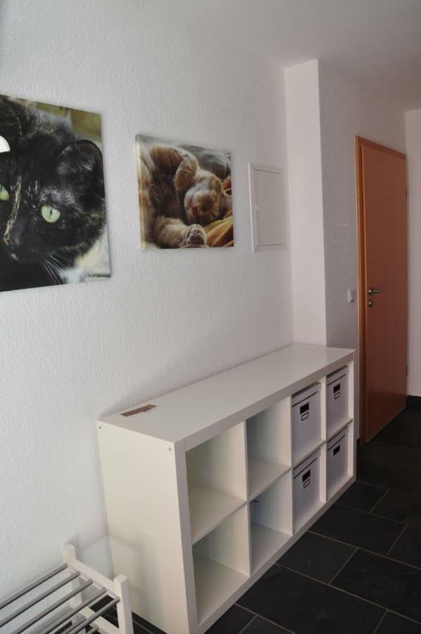 Ferienwohnung Roter Kater Am Nationalpark Eifel Bergbuir 外观 照片